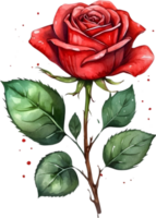 AI generated watercolor red roses png