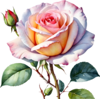 AI generated watercolor roses on transparent background png