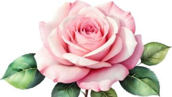 ai gerado rosa flores aguarela png