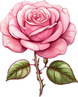 AI generated watercolor pink rose clipart png