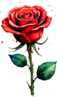 ai generado Rosa flores acuarela png