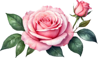 ai generado acuarela rosado Rosa clipart png