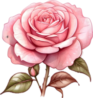 ai généré aquarelle rose Rose clipart png