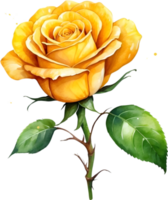 AI generated yellow roses on transparent background png