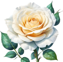 AI generated white rose png image