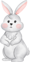 blanc lapin animal aquarelle, lapin aquarelle illustration pour élément Pâques png