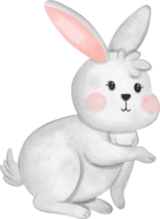 blanco Conejo animal acuarela, conejito acuarela ilustración para elemento Pascua de Resurrección png