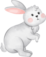 vit kanin djur- vattenfärg, kanin vattenfärg illustration för element påsk png