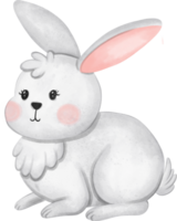 white rabbit animal watercolor, bunny watercolor illustration for element easter png