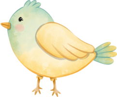 kerk vogel waterverf illustratie, schattig vogel waterverf illustratie voor element Pasen png