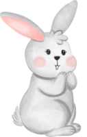 vit kanin djur- vattenfärg, kanin vattenfärg illustration för element påsk png
