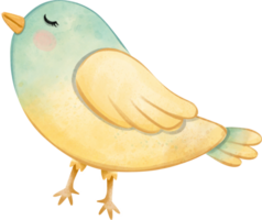 Chiesa uccello acquerello illustrazione, carino uccello acquerello illustrazione per elemento Pasqua png