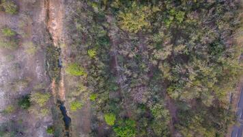 aéreo ver de el bosque en un tropical rural campo en el seco temporada foto