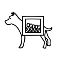 X-ray view of dog body skeleton. Hand drawn vector illustration. Editable line stroke.