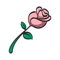 Rose icon in hand drawn color vector illustration