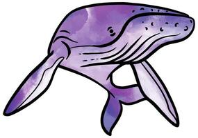 Hand drawn watercolor style whale vector illustration.