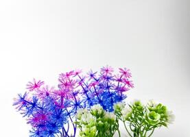 Aquarium fish tank vegetation interior decoration. Artificial fake green and purple plastic plants with vibrant colors. Object photography isolated on white studio background. photo