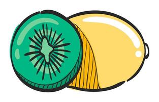 Kiwi fruit icon in hand drawn color vector illustration