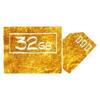 Hand drawn Compact flash and SD card icon in gold foil texture vector illustration