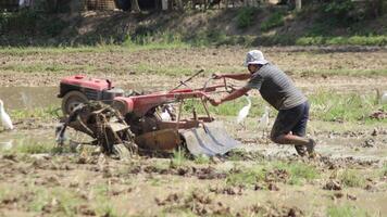 North Aceh, Indonesia, February 5, 2024, farmers use hand tractors to plow rice fields during the day photo