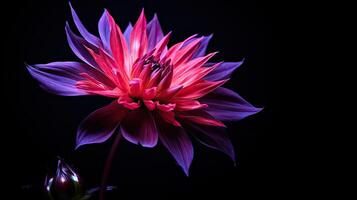 ai generado pétalo flor oscuro antecedentes ai generado foto