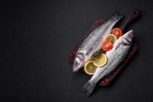 Fresco crudo Oceano mar bajo pescado con sal, especias y hierbas foto