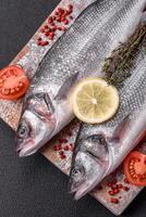 Fresh raw ocean sea bass fish with salt, spices and herbs photo