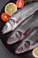 Fresh raw ocean sea bass fish with salt, spices and herbs photo