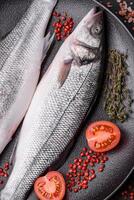 Fresh raw ocean sea bass fish with salt, spices and herbs photo