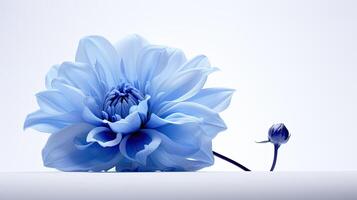 ai generado pétalo azul flor en blanco ai generado foto