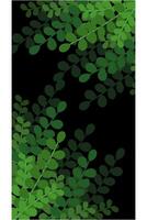 Background with plants gradient vector