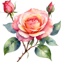 ai généré Rose fleurs aquarelle png