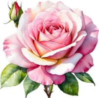 ai generado Rosa flores acuarela png