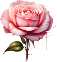 ai gerado rosa flores aguarela png