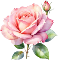 ai gerado rosa flores aguarela png