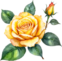 AI generated yellow roses on transparent background png