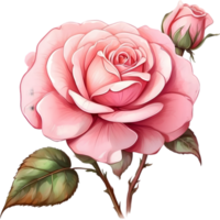 AI generated rose flowers watercolor  png