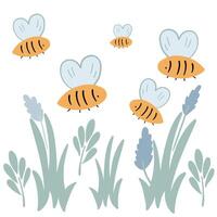 Group of objects grass lavender and bess insect vector