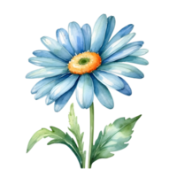 AI generated blue daisy flower watercolor illustration png