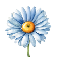 AI generated blue daisy flower watercolor illustration png