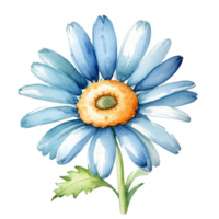 AI generated blue daisy flower watercolor illustration png