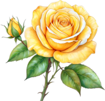 AI generated yellow roses on transparent background png