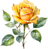 AI generated yellow roses on transparent background png