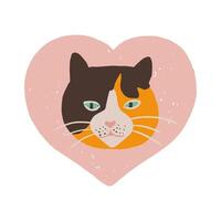 linda mano dibujado ilustración de un calicó de gato cabeza en un rosado corazón. mascota amor. San Valentín día. de gato impresión para animal amantes vector