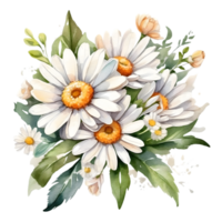 AI generated watercolor daisies on transparent background png