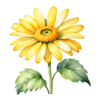 AI generated yellow flower watercolor illustration, transparent background png