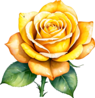 AI generated yellow roses on transparent background png