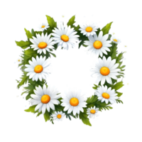 AI generated daisy flowers on transparent background png
