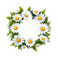 ai genererad daisy blommor på transparent bakgrund png