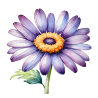 AI generated purple daisy watercolor clipart png